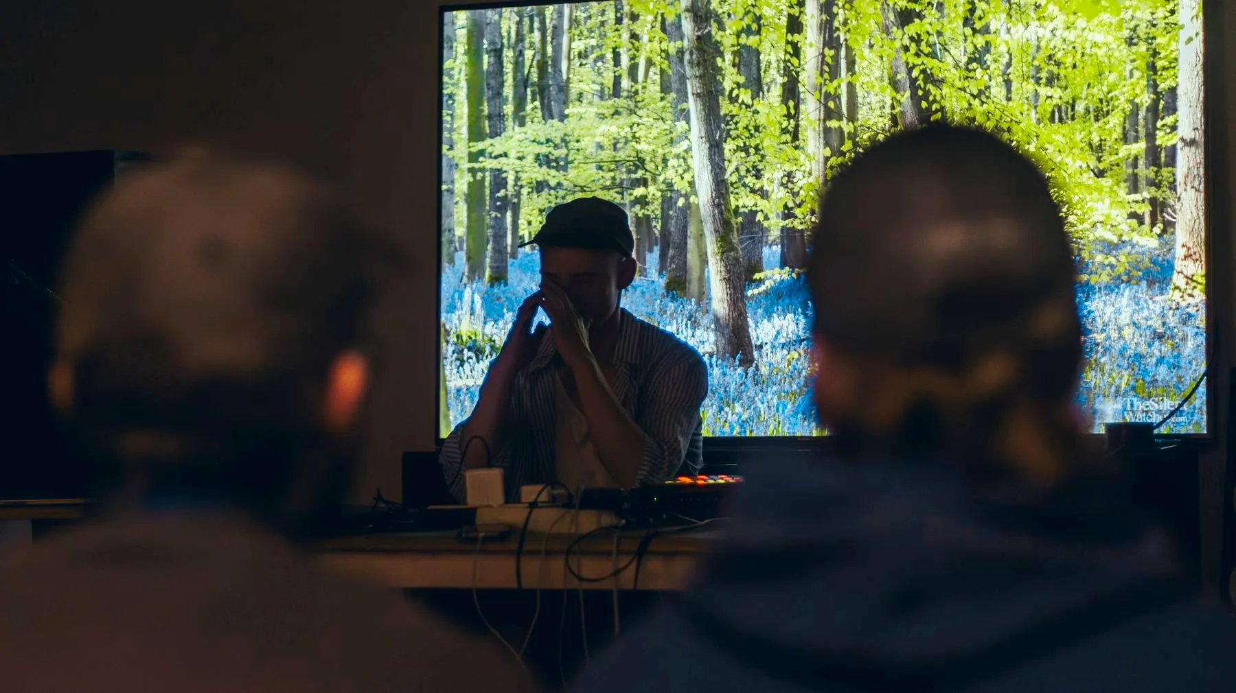 A musician performing in front of a projected forest, the audience in silhouette